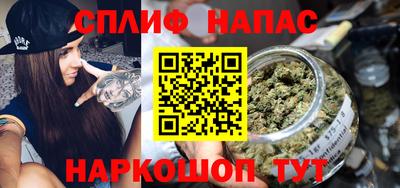 стаф Моздок