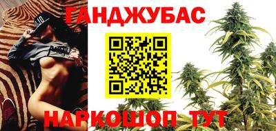 стаф Моздок