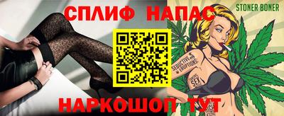 стаф Моздок