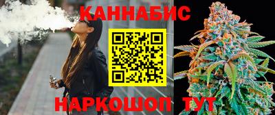 стаф Моздок