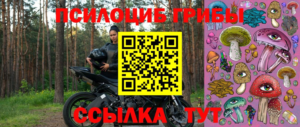 Псилоцибиновые грибы мицелий  Вход с VPN  Псилоцибиновые грибы Psilocybe  Улан-Удэ 